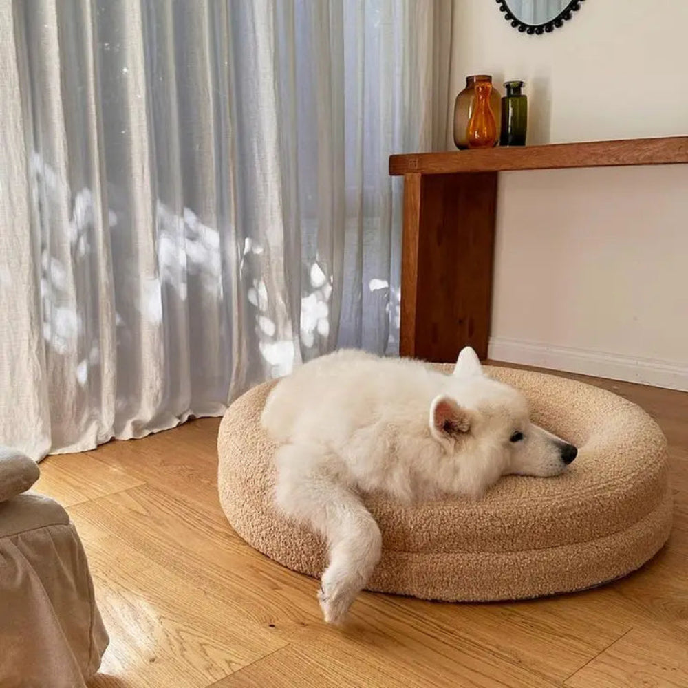 2024 Hot Sale Comfortable Cat Dog Bed Removable Cover Washable Pet Nest Super Soft Lightweight Made Oxford Fabric Foam PVC Box