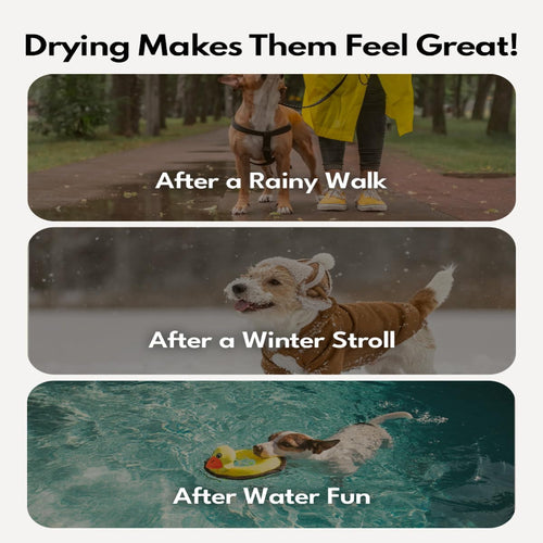 Drybo Ultra Pet Dryer Box - Ultra Quiet, Smart Temperature Control, 360° Efficient, 4 Locking Swivel Casters for Dogs, Cats and Multi-Pet Families, 135L