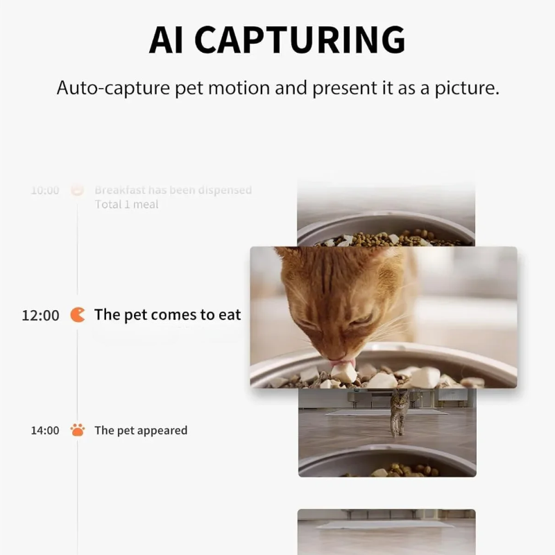 Smart Pet Feeder with Camera & 2 Hoppers