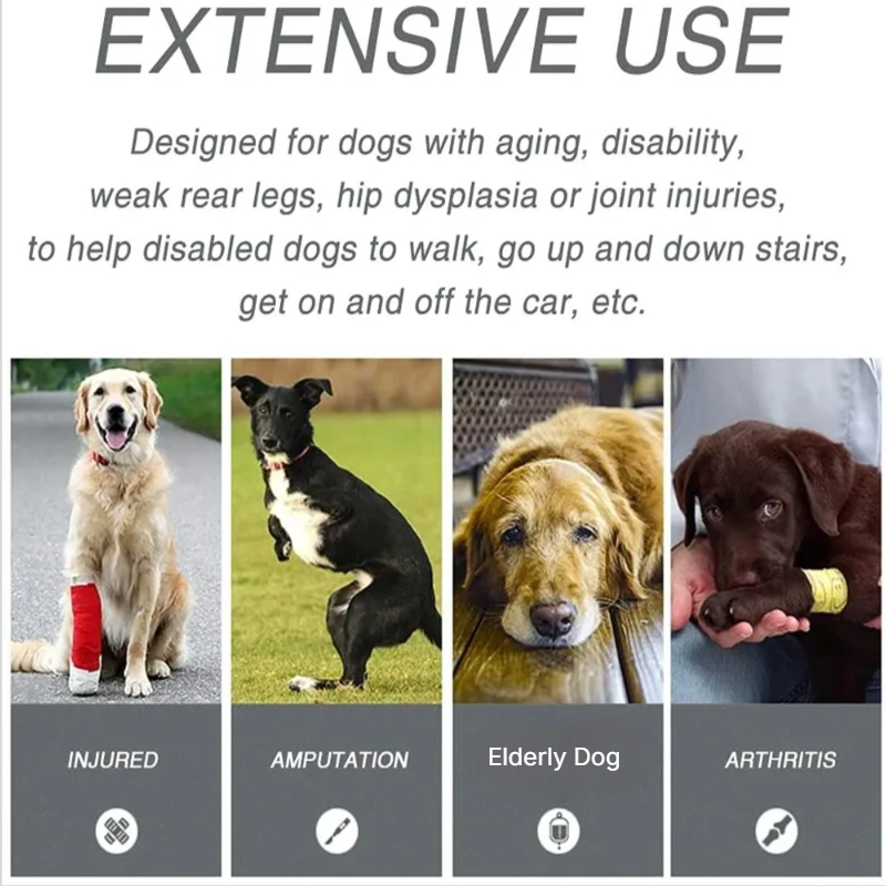 Adjustable Support Harness for Front & Back Legs